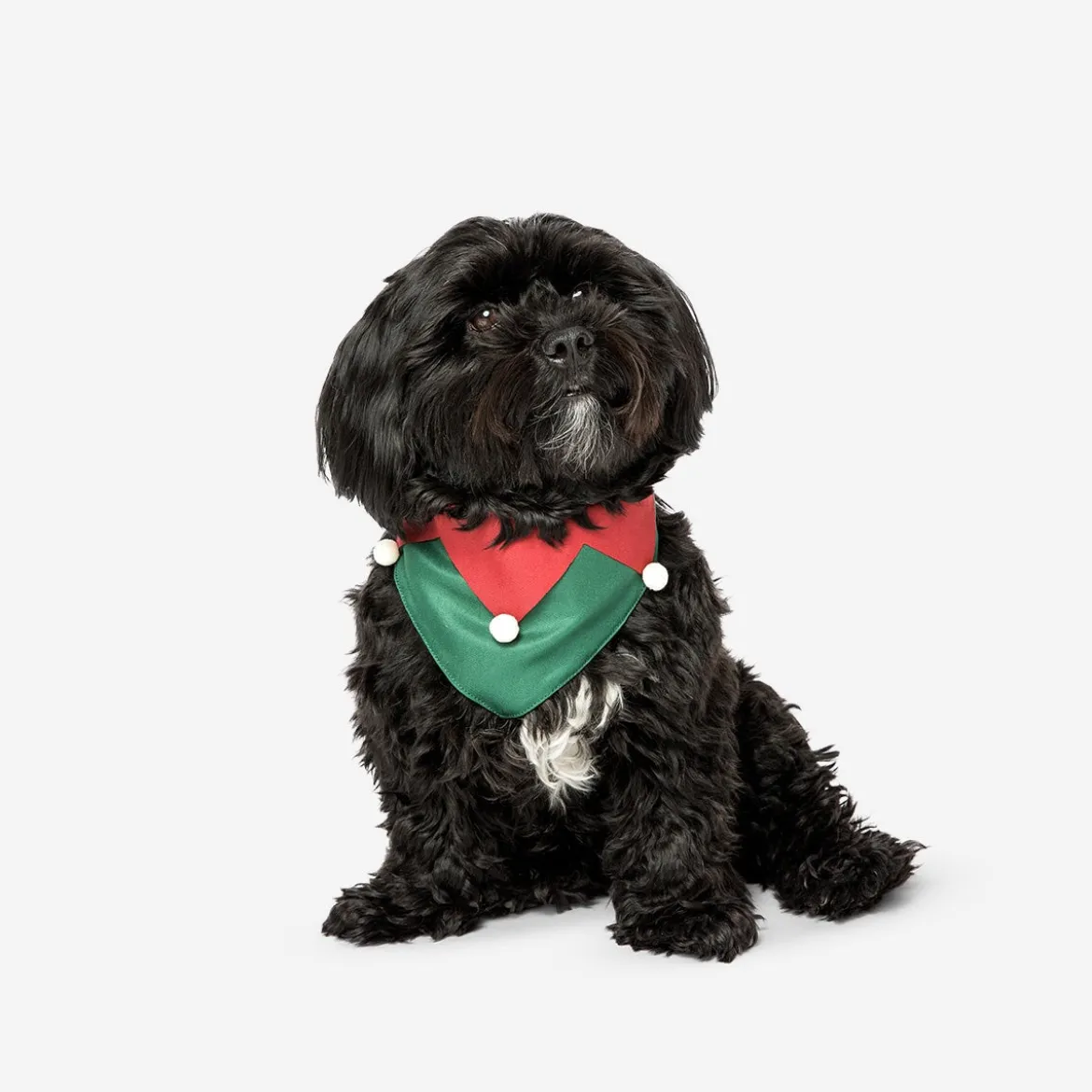 Bandana natalizia per animali domestici