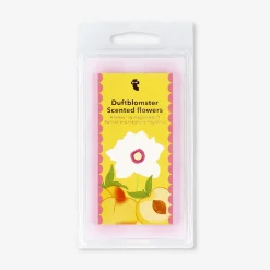 Cera profumata (wax melt) - albicocca & magnolia