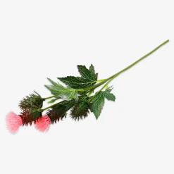 Fiore decorativo - cardo