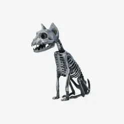 Gatto scheletrico