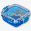 Gomme per animali marini in scatola - 3 pz