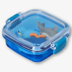 Gomme per animali marini in scatola - 3 pz