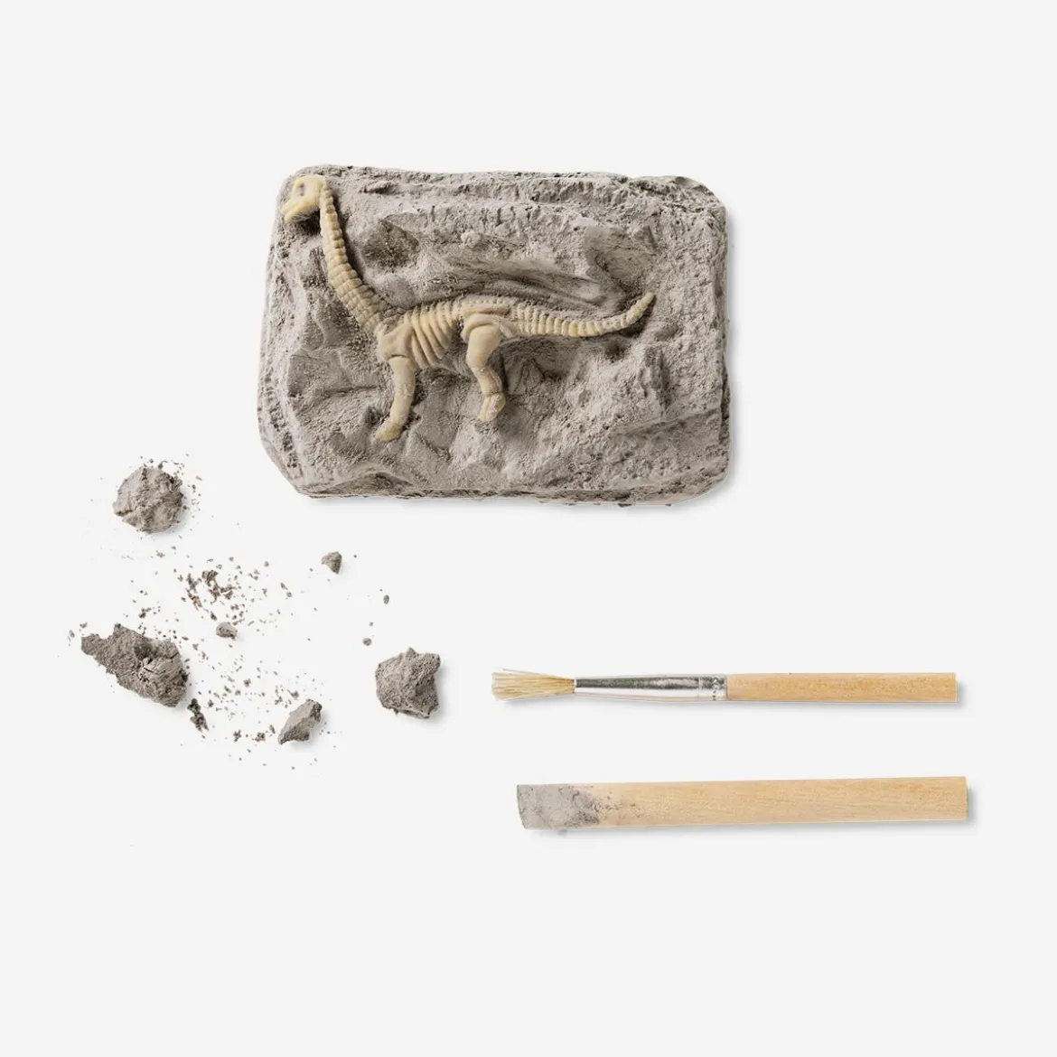 Kit di scavo - Fossili