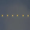 Luci a corda - Carote arancioni