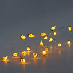 Luci a corda - Carote arancioni