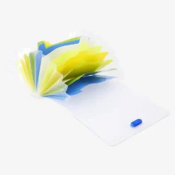 Organizer per flash card
