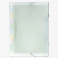 Organizzatore di documenti