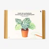 Pianta all’uncinetto DIY - Monstera