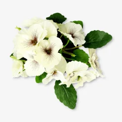 Pianta decorativa con fiori bianchi - 20 cm