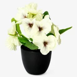 Pianta decorativa con fiori bianchi - 20 cm