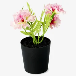 Pianta decorativa con fiori rosa - 15 cm